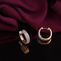 Radiant Hoops Earrings